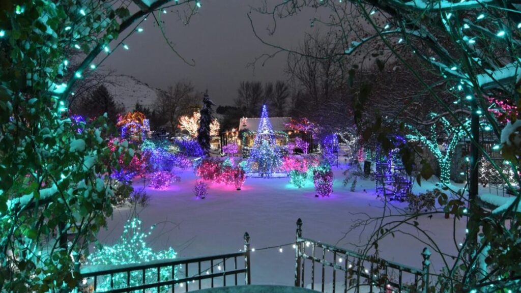 And away we glow: ‘Winter Garden aGlow’ returns with twinkling holiday tradition And away we glow: 'Winter Garden aGlow' returns with twinkling holiday tradition