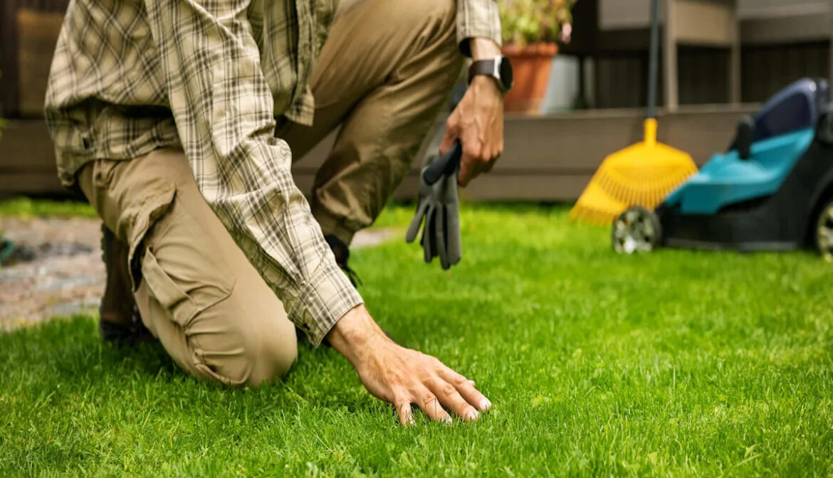 Homeowner shares heartwarming photos of unexpected garden visitors: ‘So freaking cute’ Yahoo lifestyle home