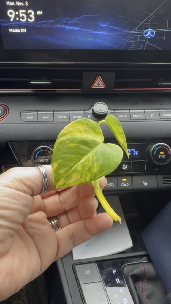 Just robbed the bank! Who did I steal from their lobby ? 😂