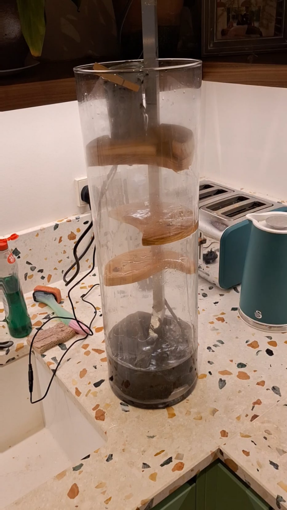 High humidity moss? High humidity moss?