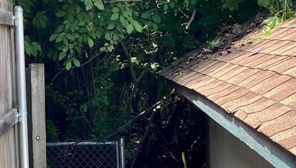One Reddit user was shocked to find that their next-door neighbor's drain pipe was routing illegal drainage into their yard.
