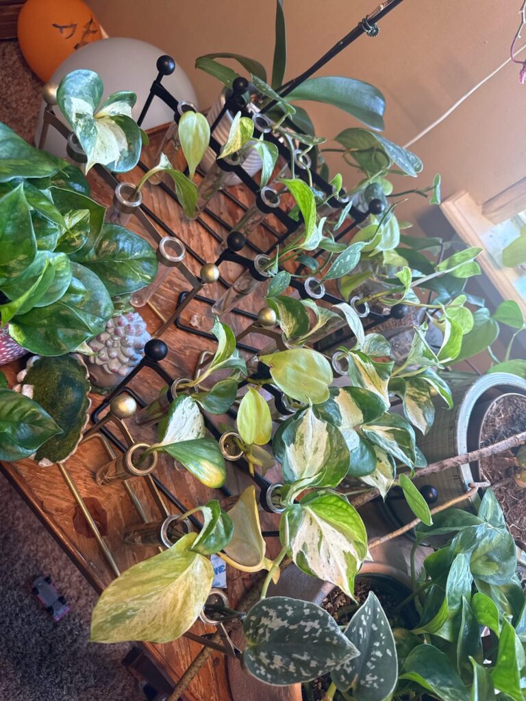 Okay. Now what? Okay. Now what?