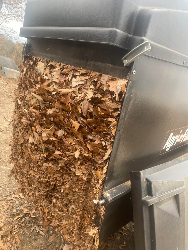 Me again, Big pile guy