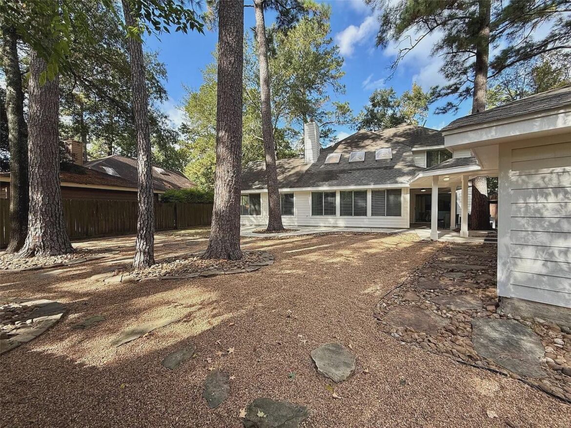 Blank Slate in The Woodlands, Texas - Seeking Advice!