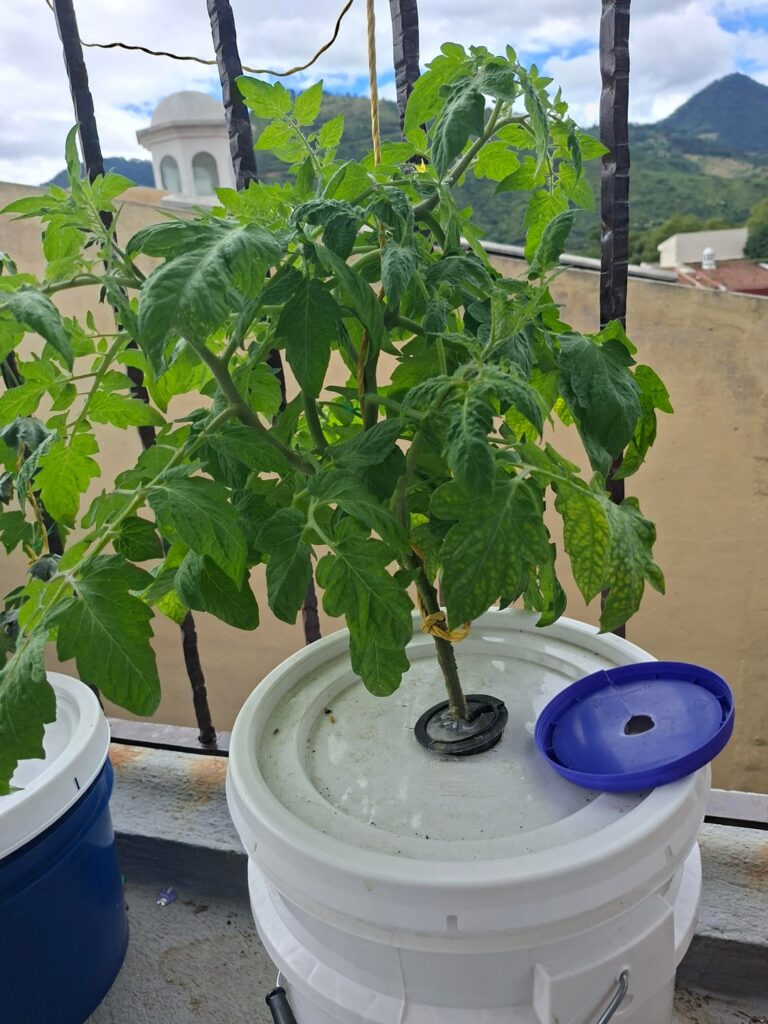 Any suggestions on what I can do to weigh this down?