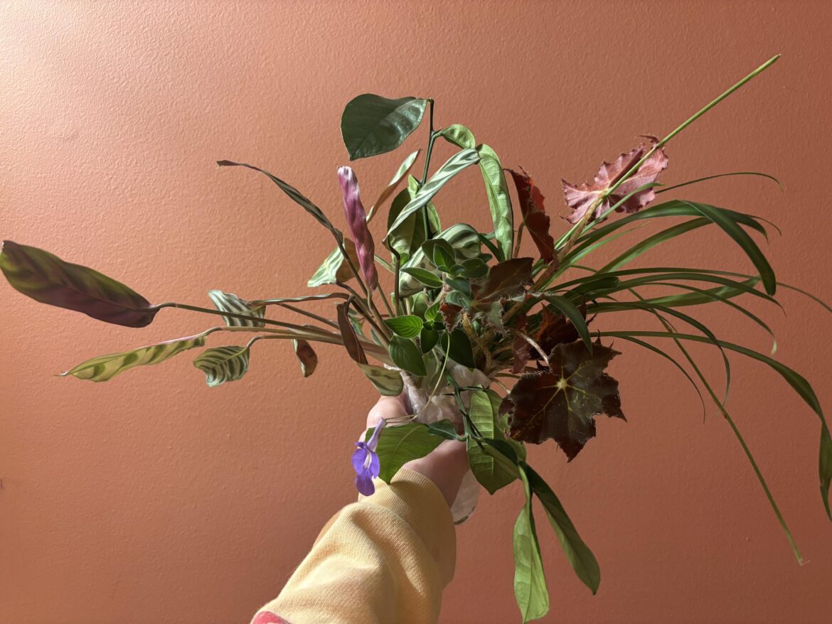 Is it technically proplifting …?