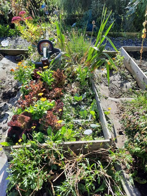 “The way the world is now, this is an incredible resource to have really is."