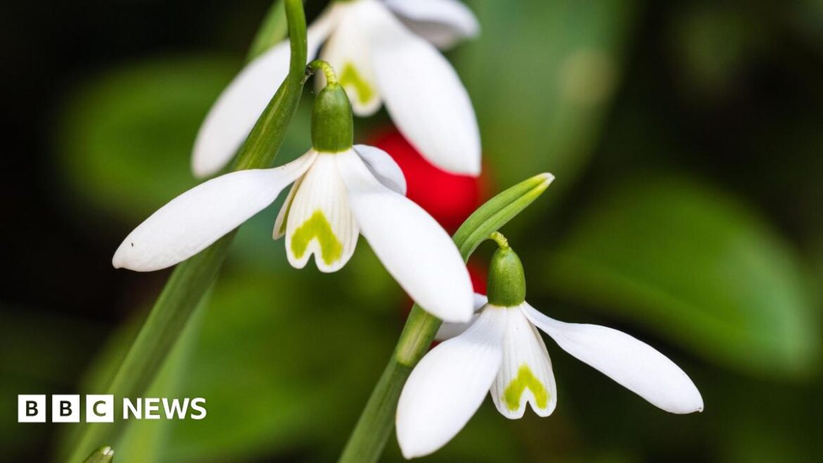 Two housemates stand in their kitchen, smiling at the camera