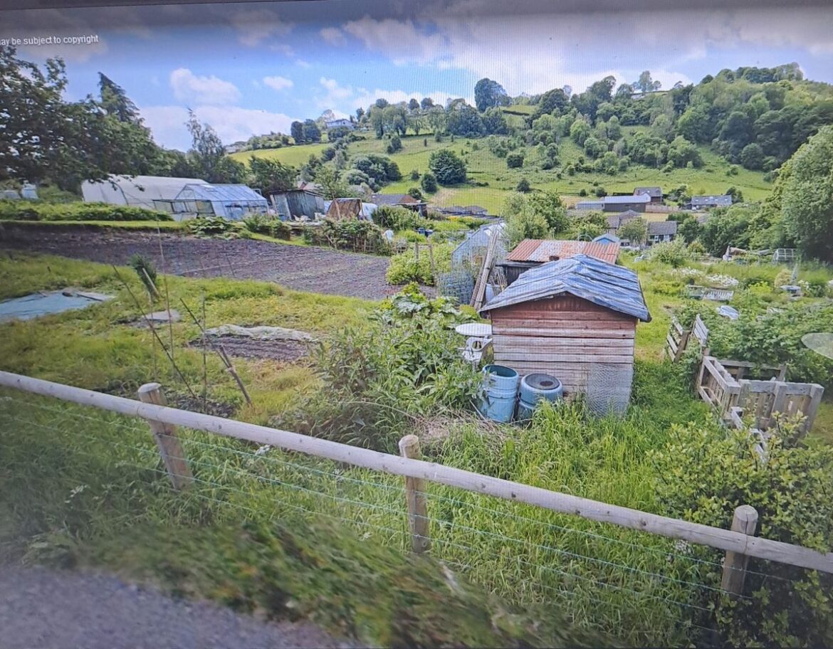 Call for gardeners – after four plots unusually become vacant at Knighton’s allotments Supporting image for story: Two Shropshire students honoured with British Citizen Youth Awards for outstanding service to their communities