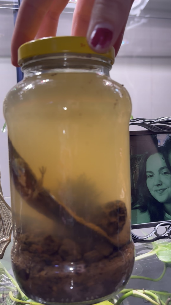 Did we capture an alien???