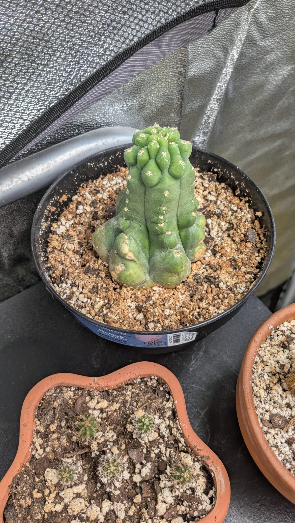 Probably the slowest start of any cac I have, almost a year for growth.