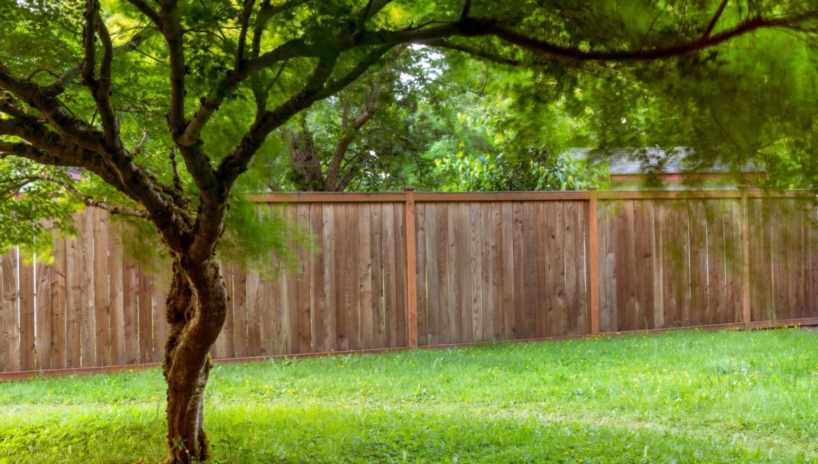 Gardener sparks debate after sharing surprisingly simple method to keep yard weed-free: ‘I should try this’ One Redditor shared how they used a cardboard weed barrier to keep their garden looking amazing without harmful chemicals.