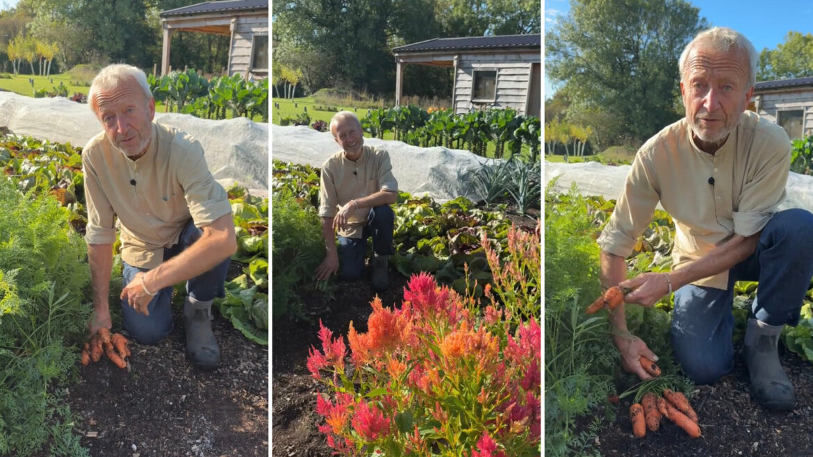 Gardening expert Charles Dowding shared a seasonal tip with his audience on how to avoid the notorious carrot root fly.