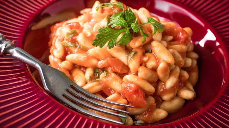 Cavatelli in sauce on a red plate