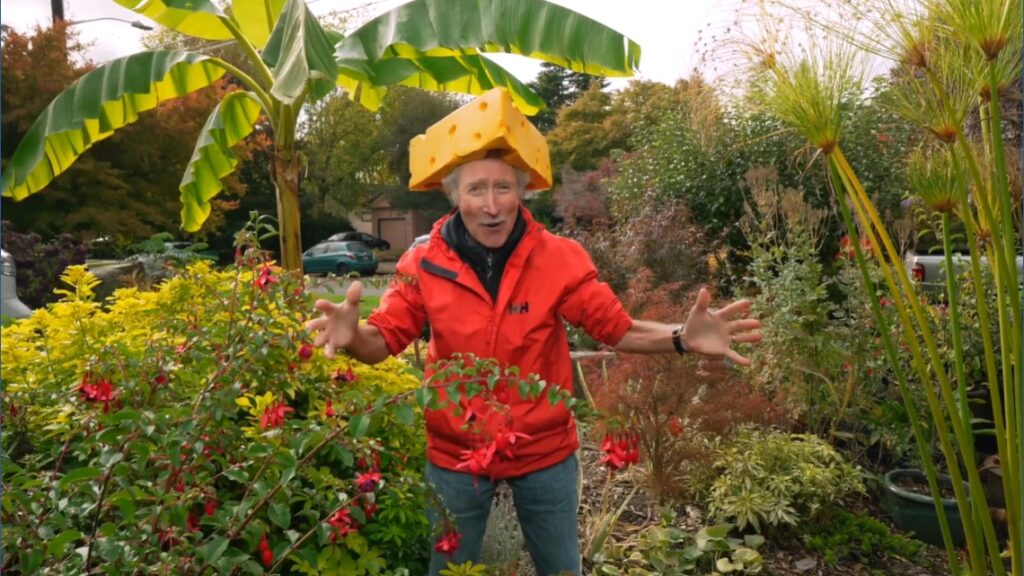 Ciscoe Morris highlights 4 plants to brighten November gardens Ciscoe Morris highlights 4 plants to brighten November gardens