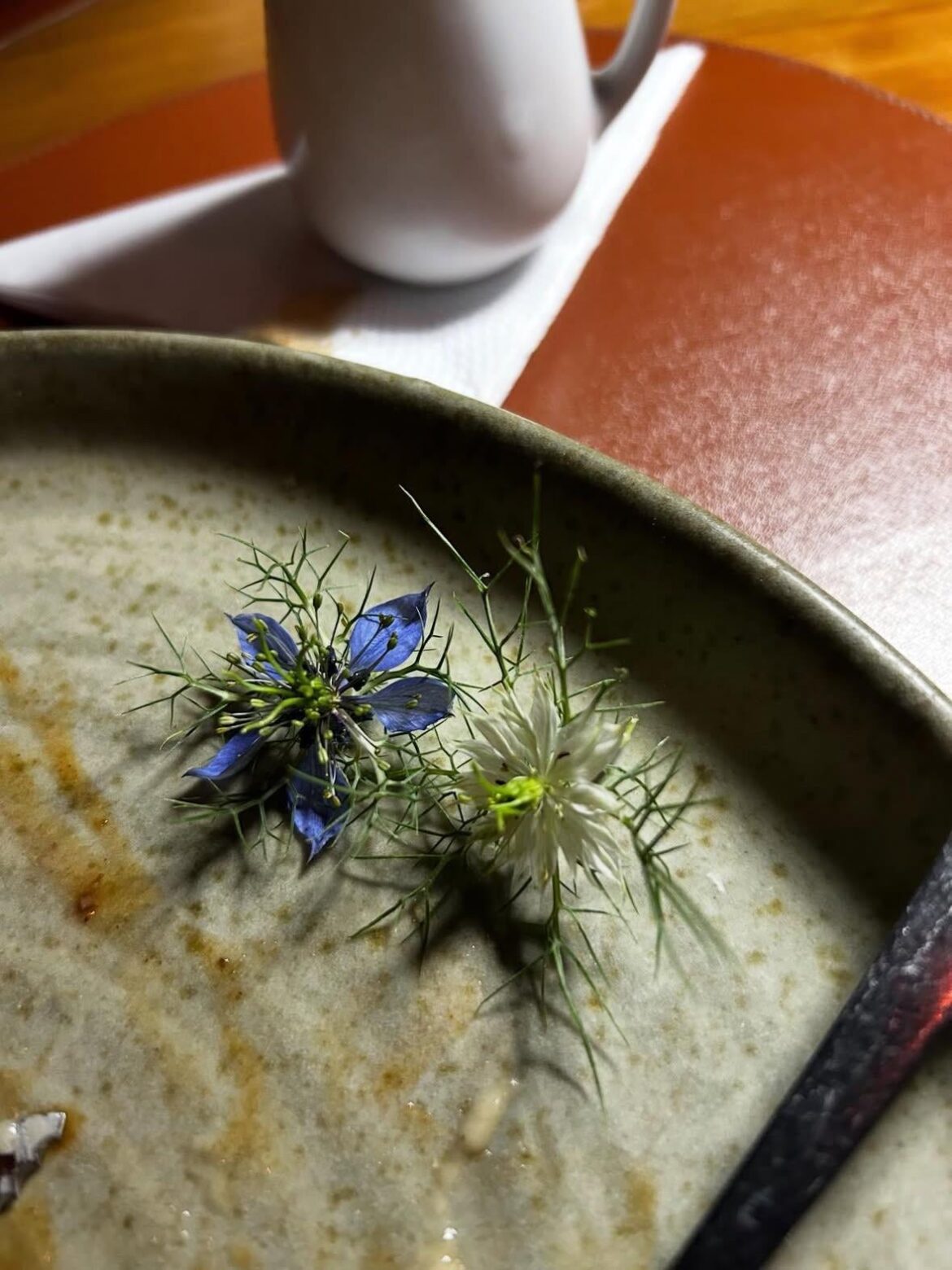 Which flower is this?