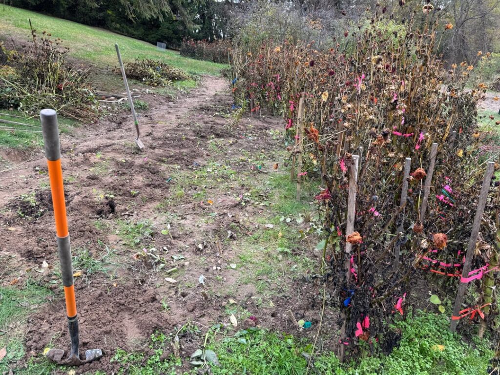 The goal today…get through the middle garden.