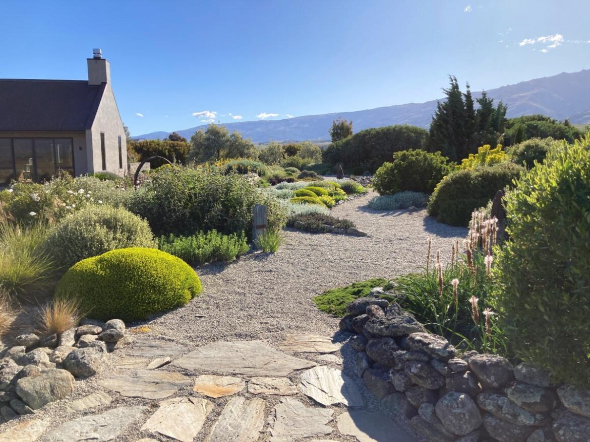 Dry garden expert to share advice Dry garden expert to share advice