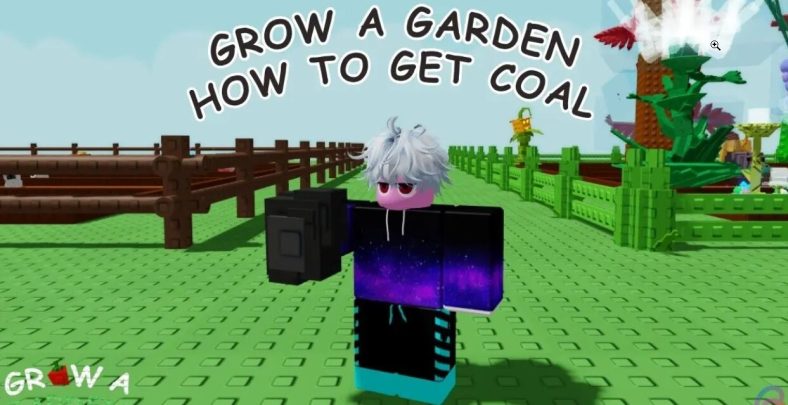 coal in Grow a Garden