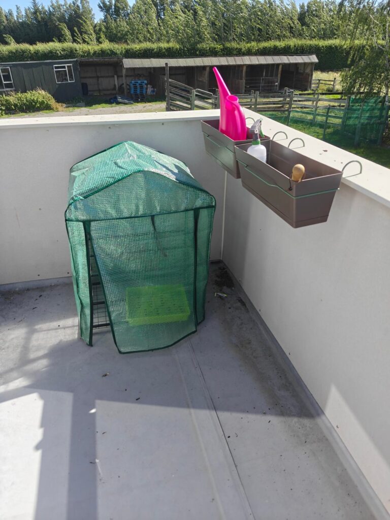 My first batch died :(