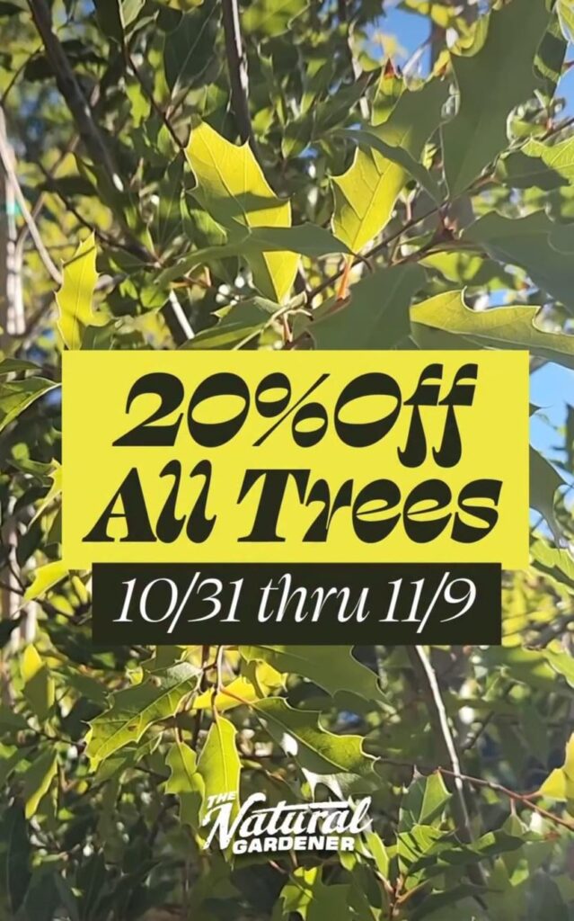 PSA: tree sale at TNG