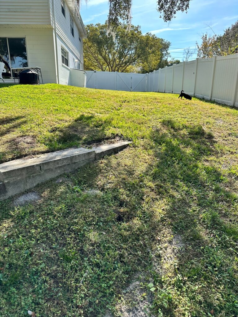 Did I cause a sinkhole?