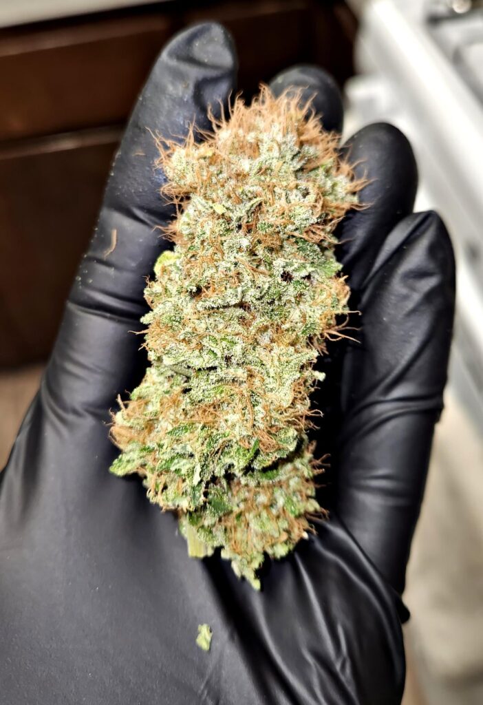 AK47 ready for the jar