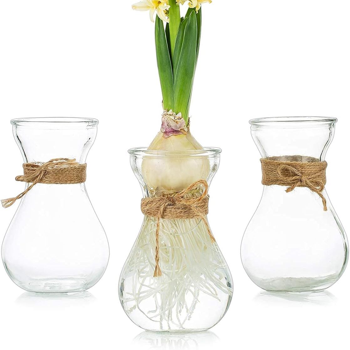 Glasseam Clear Glass Vase for Flowers, Set of 3 Bulb Vase for Forcing Hyacinth Bulbs, Decorative Small Bud Flower Vases for Home Decor Living Room Wedding Table Centerpieces Decorations