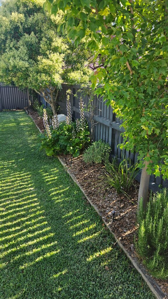 Best sprinkler option?