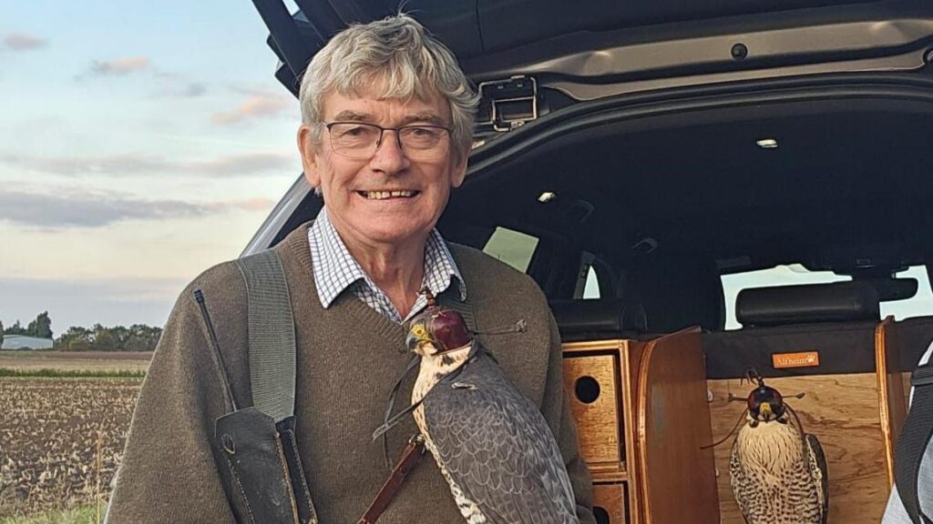 Falconer worried after bird of prey escapes garden BBC