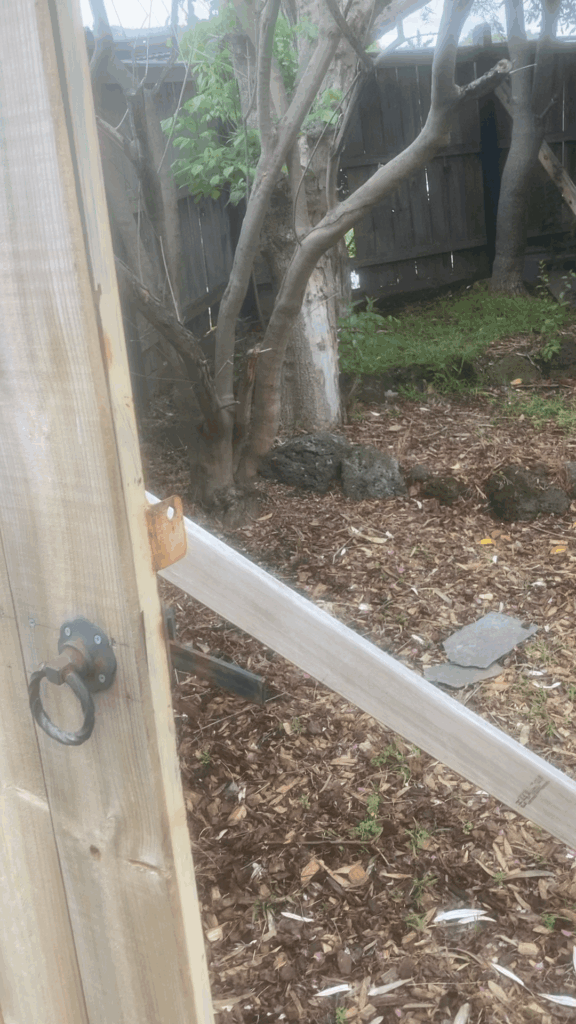 Ideas for garden space. All ideas welcome ..