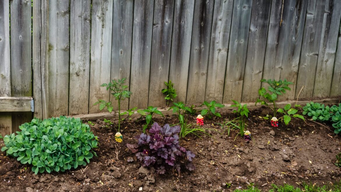 ‘He knew what he was doing’ One Redditor was outraged after his neighbor destroyed a garden of 6,000 seeds — an action the neighbor thought was kind.