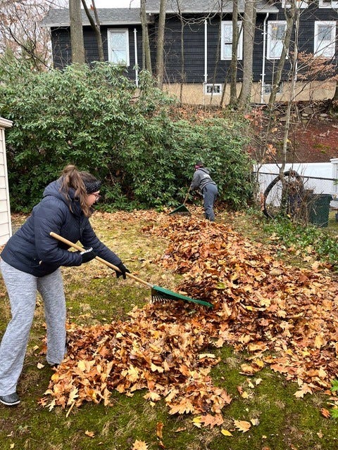 My neighbors’ leaves fall on my lawn, am I responsible for cleaning them up? Yahoo lifestyle home