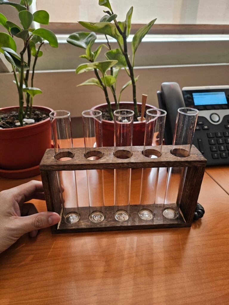 Peperomia obtusifolia & Tradescantia pallida Peperomia obtusifolia & Tradescantia pallida