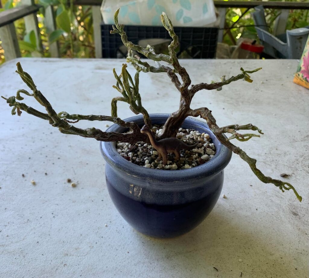 Gollum, my most embarrassing success… Gollum, my most embarrassing success…