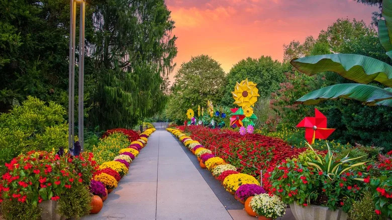 A path surrounded by flowers at the Botanical Garden