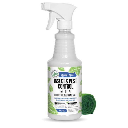 Amazon peppermint spray