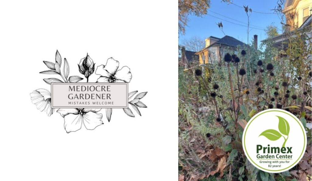 Glenside’s The Mediocre Gardener | November Garden Cleanup: Compost, Critters & Cozy Habitat (supported by Primex Garden Center of Glenside) Glenside’s The Mediocre Gardener | November Garden Cleanup: Compost, Critters & Cozy Habitat (supported by Primex Garden Center of Glenside)