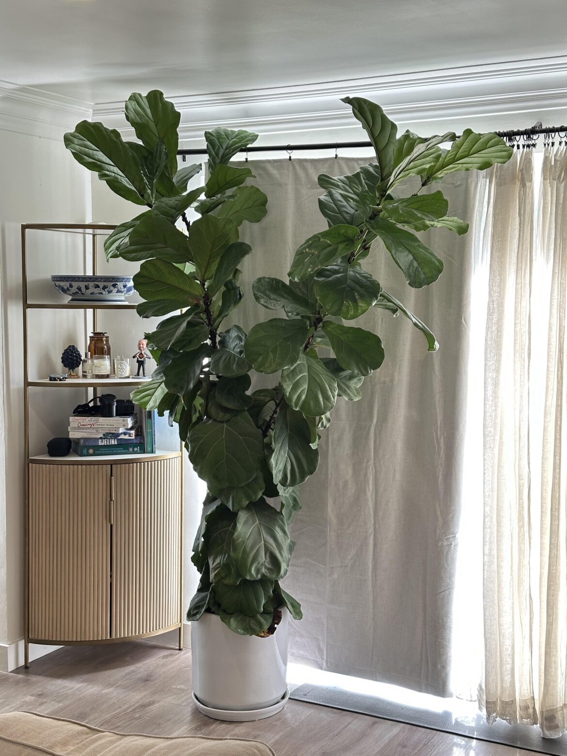 My fiddle is getting too big. What should I do?