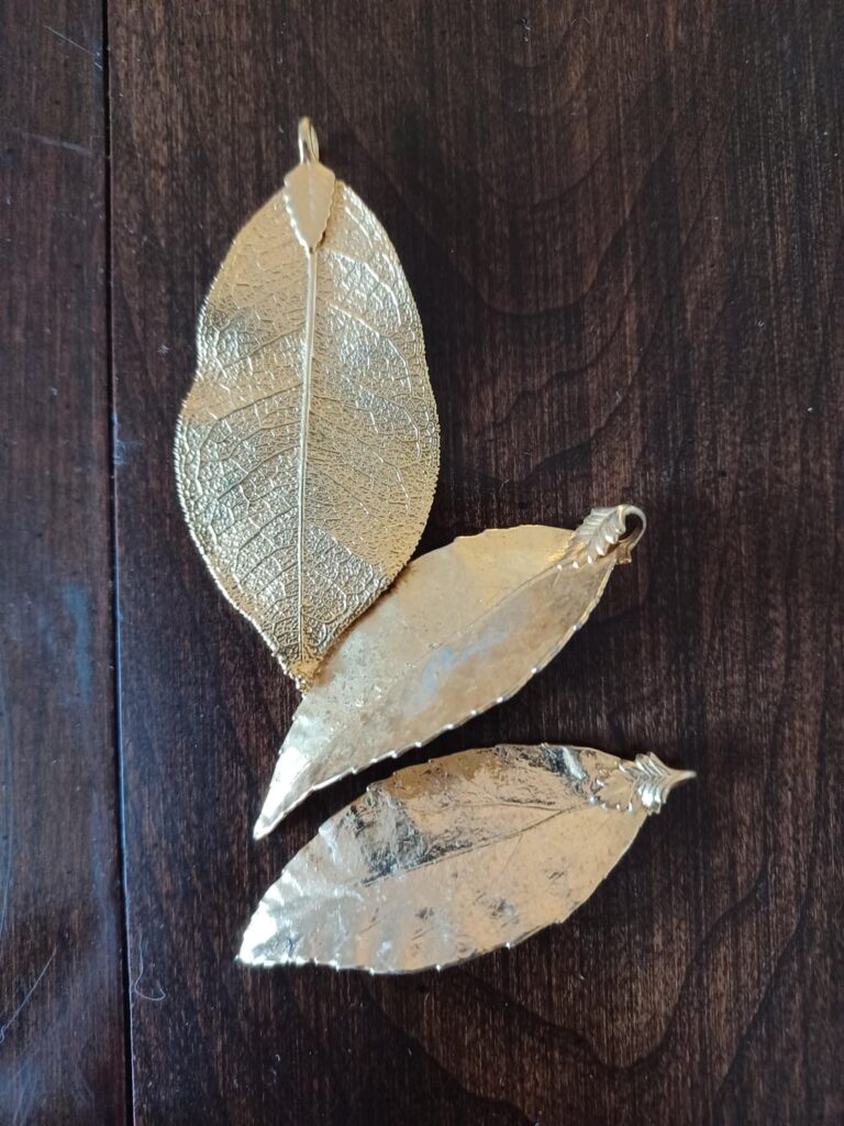 What kind of leaves are these and where are they from?