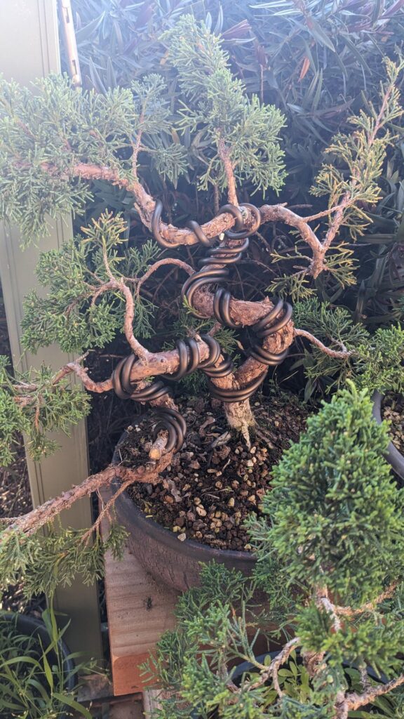 Tightening up some loose bends after a year without wire