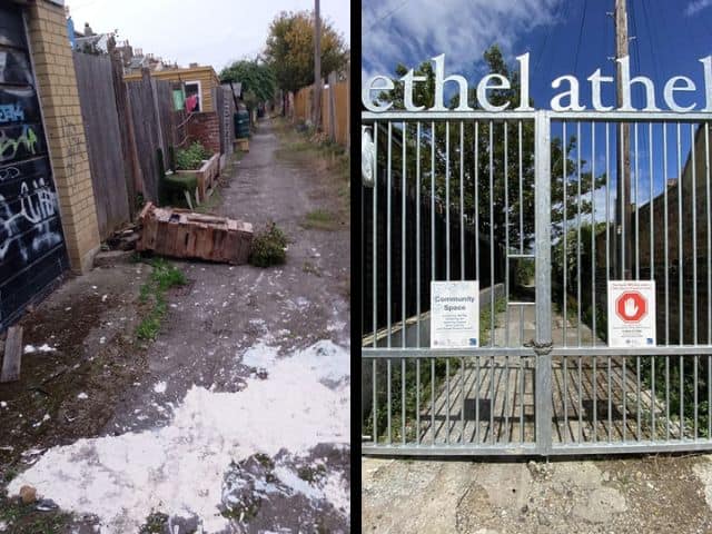Cliftonville alleyway transformed into community garden targeted by vandals – The Isle of Thanet News Cliftonville alleyway transformed into community garden targeted by vandals – The Isle of Thanet News