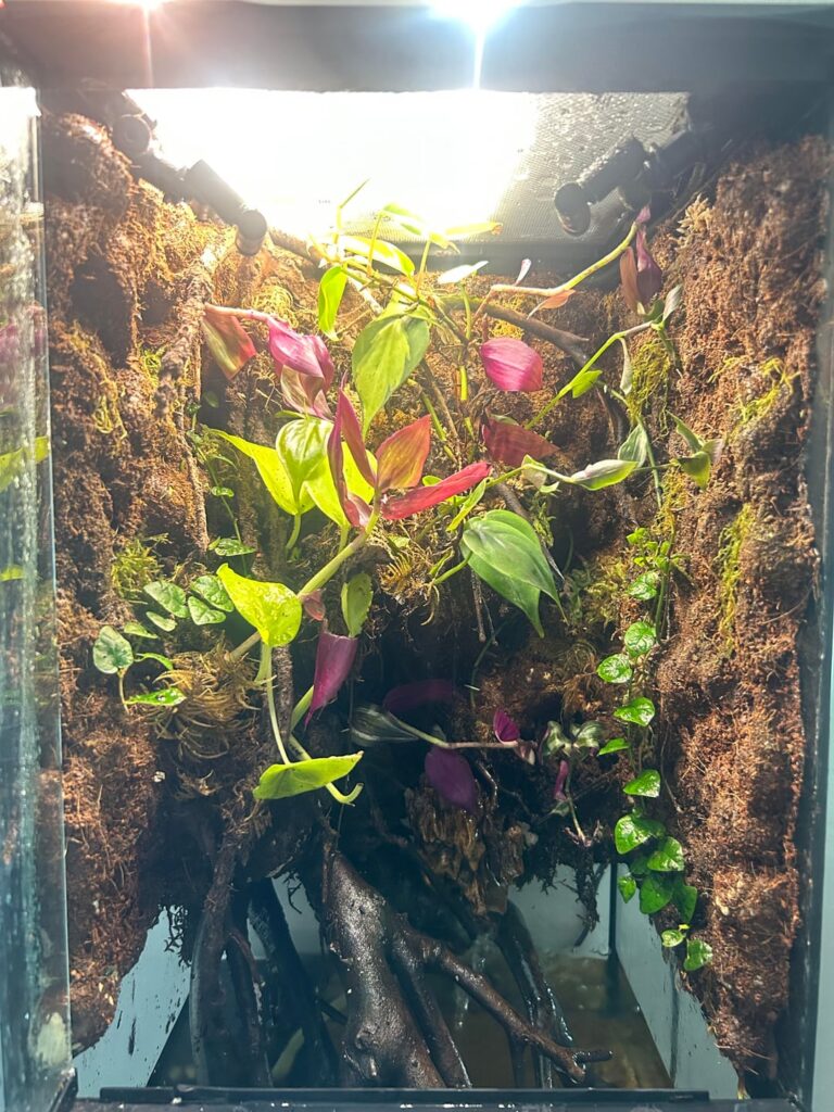 Advice for a newer owner Advice for a newer owner