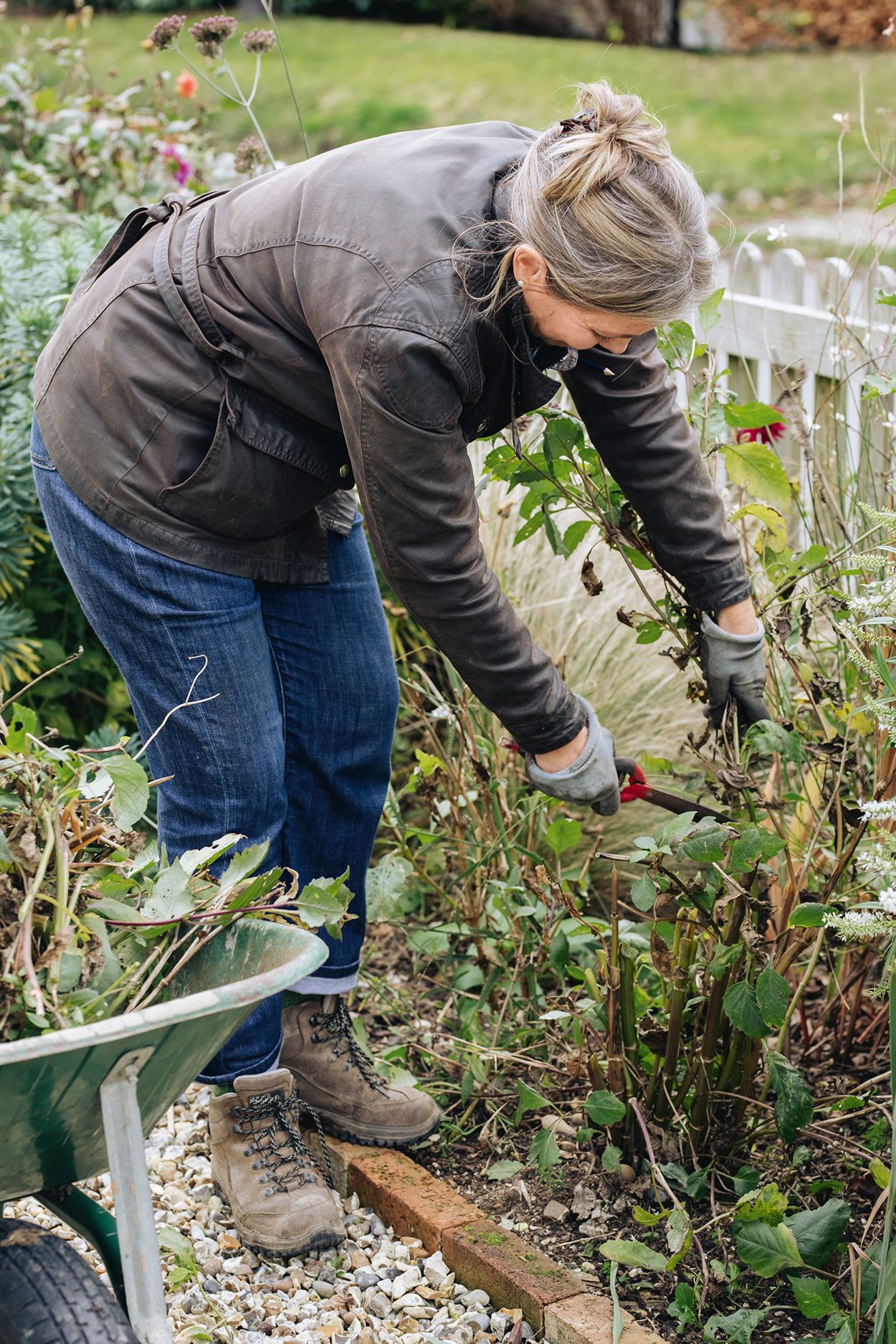 Cutting back softstemmed plants.