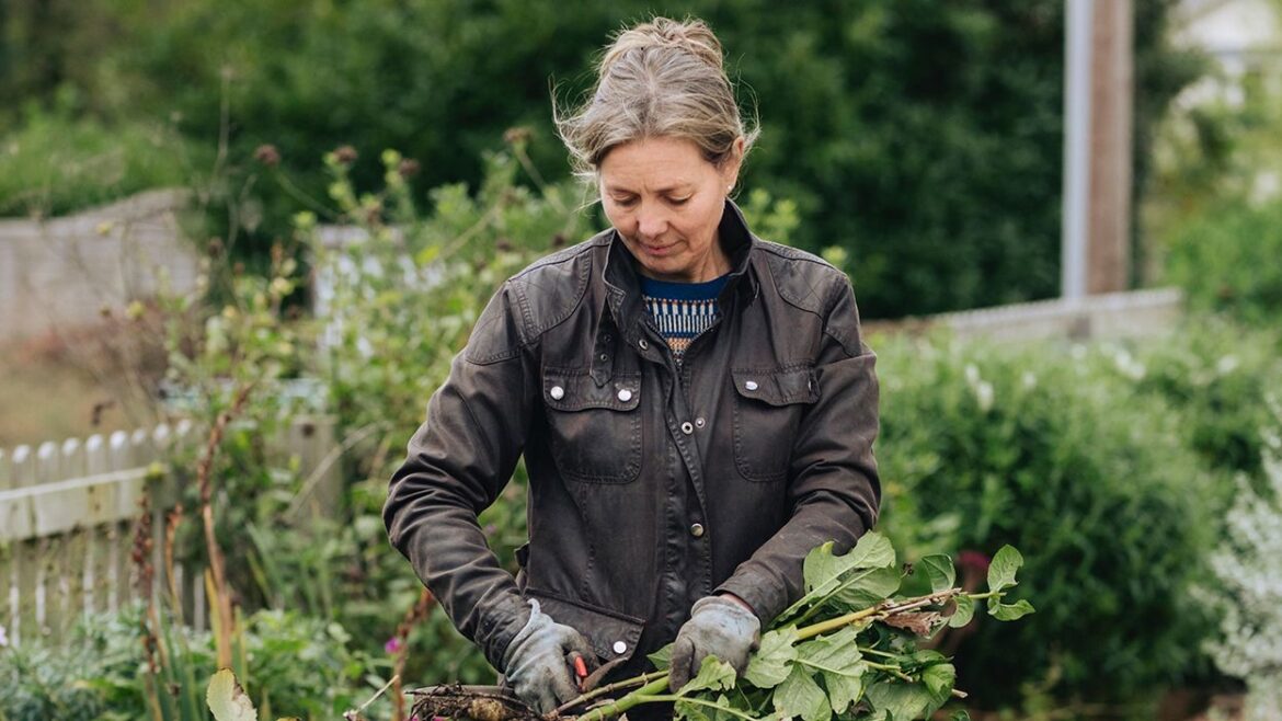 What to plant in November (and other garden tasks for the month)