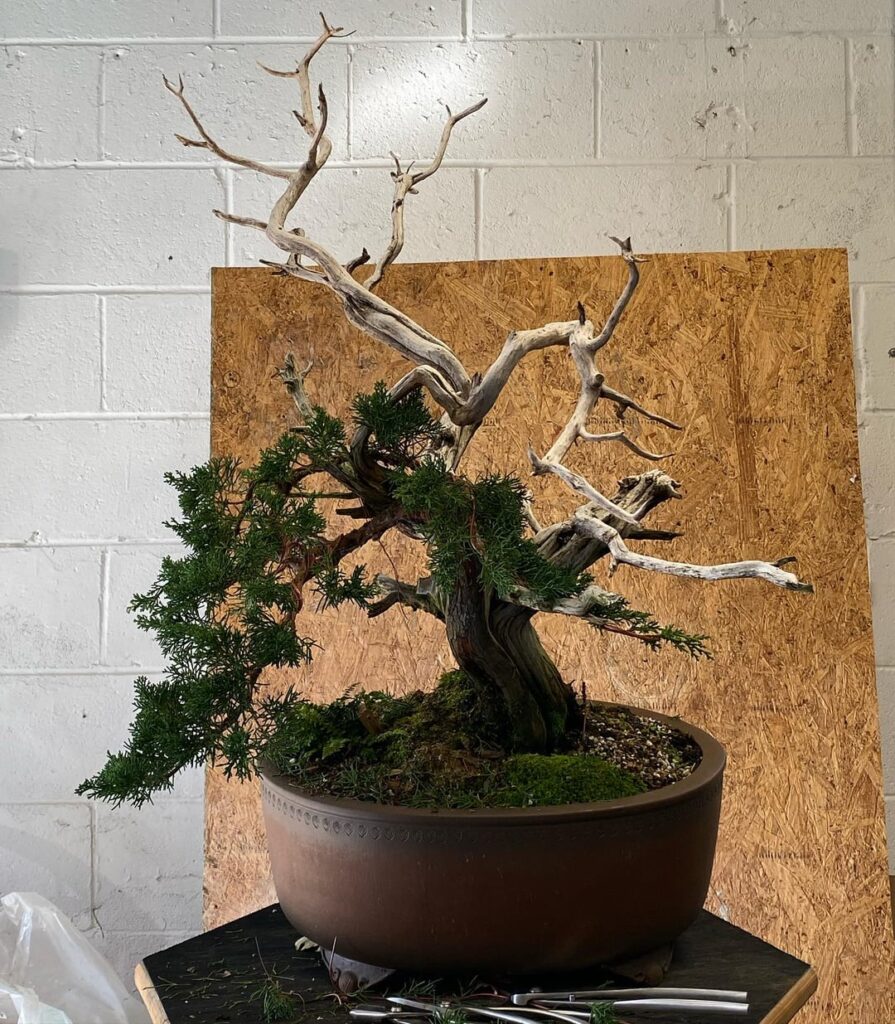 This feels like some bullshit, but I'm pretty convinced that will be hidden as it fills in...