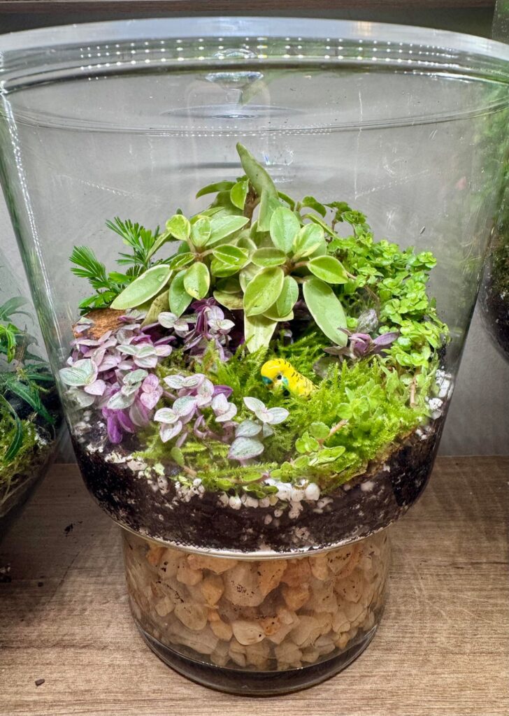 Just wanted to share some of my terrariums, really enjoying this zen hobby