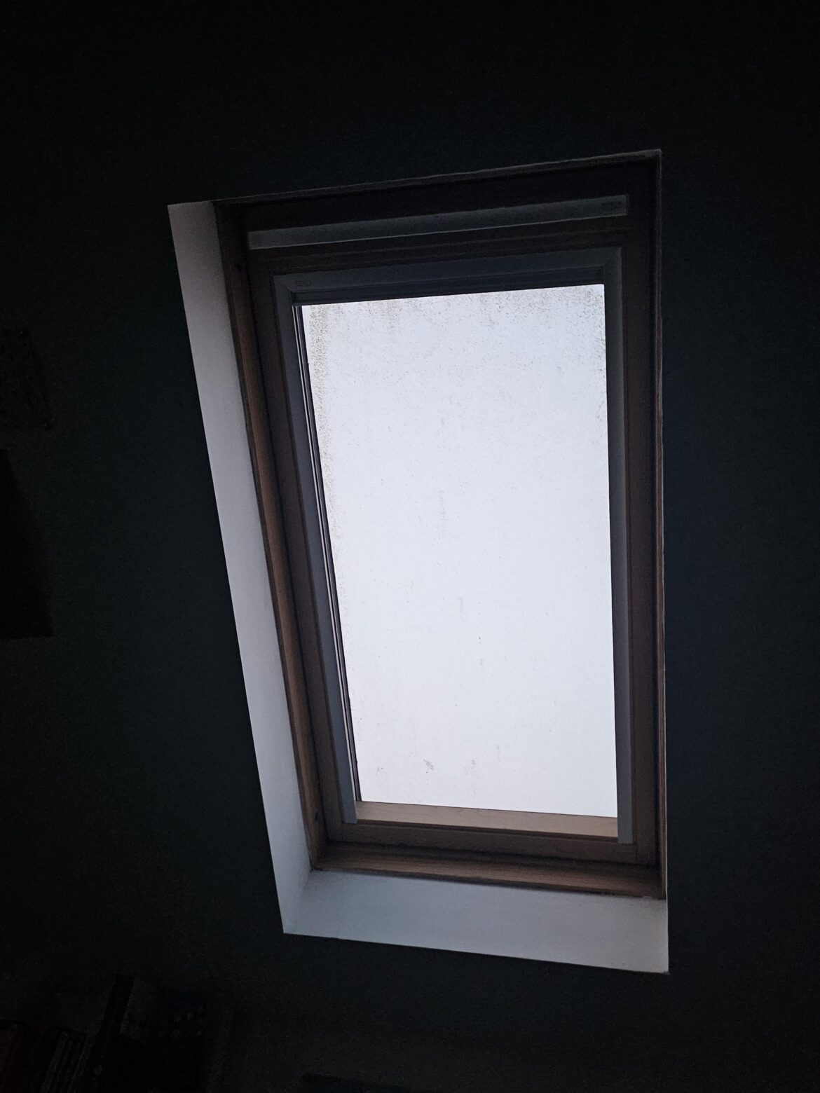 BeggBeggiindoor-gardener here! BeggBeggiindoor-gardener here!