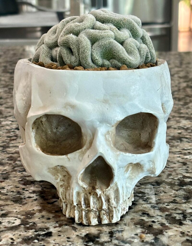 My all time favorite