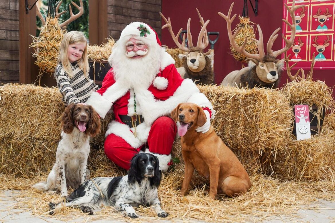 Dogs can meet Santa at York garden centre this Christmas York Press